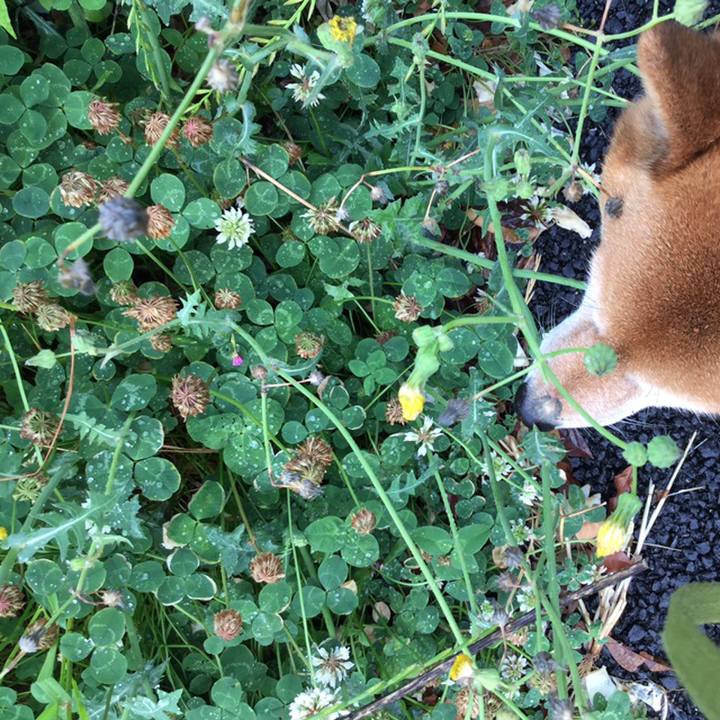 43d434b8 8763 4dc8 ada6 0b41175e97d4 1558428090452