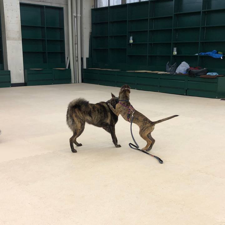 43d4649f 3055 44e2 b1a3 0223fdbd3b79 1569128919338