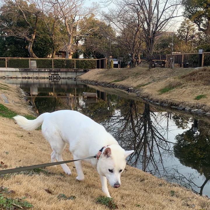 43d47443 09fc 4ca3 89c3 99a6c4fb3e61 1550363727825