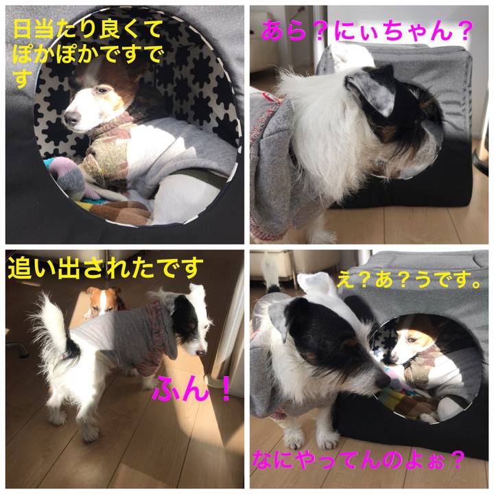 43d474d8 1179 4d6b acef 4fb98efa785f 1543111482223