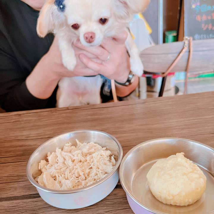 43d4bf29 b47d 4658 9b5e 0ab4d7c81bf6 1669285169879