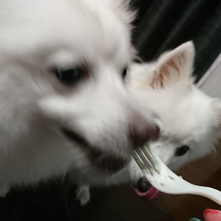 43d4e295 6025 4d03 babb 2e105de31d2b 1594466615508