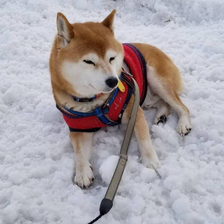 43d50084 1da7 4fe4 9fdc 8e5055c72c27 1548076349476