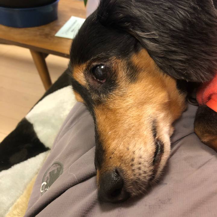 43d51515 d839 4c3d 8852 11ea58d91215 1627129990880