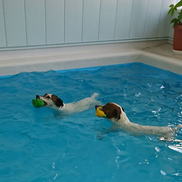 43d5e23c 72ec 4966 8f95 cdc609d0e10d 1613886988353