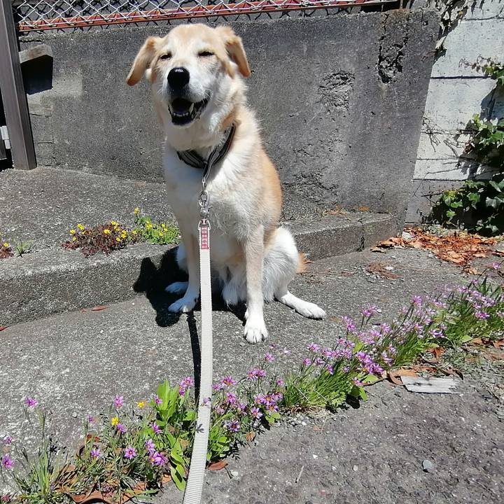 43d61224 8288 481c 8c3c 0cfedbe9ba87 1588913267462