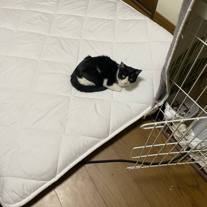 43d625e4 e68f 465b bc2e c3504fff8bfa 1678068595598