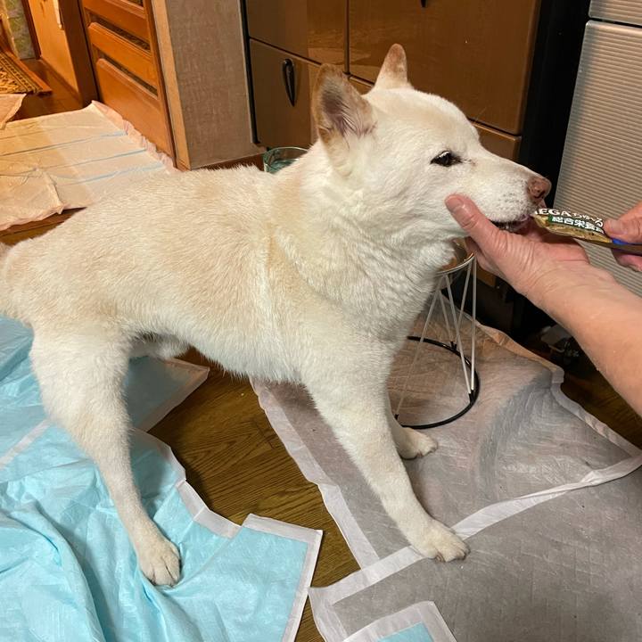 43d641ee 99b2 4e52 af53 7bd64f03965e 1634217132377