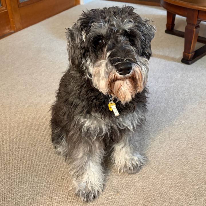 43d6699f b301 465f 9fc8 ecc57cc36571 1769854365426