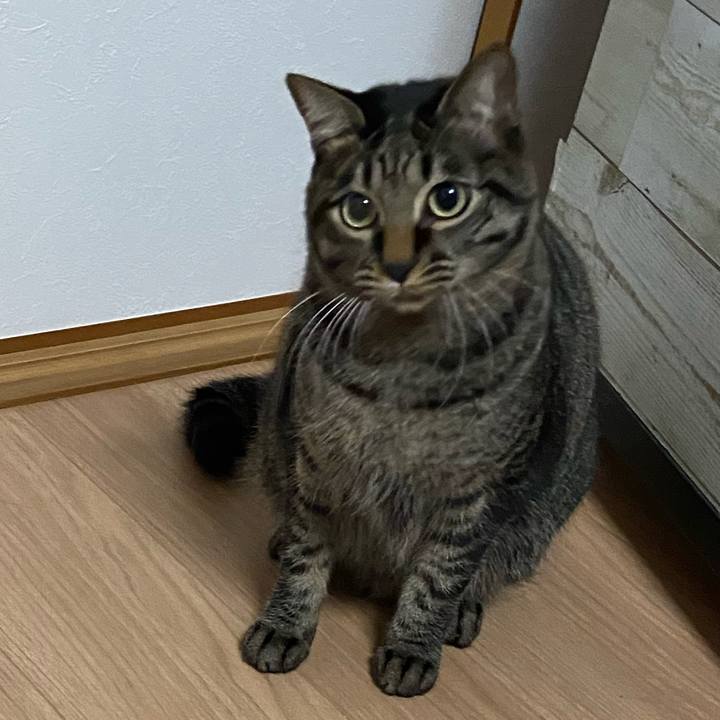 43d688f8 7b9b 4442 b2fc 7fd7c2b8de7e 1642244254126