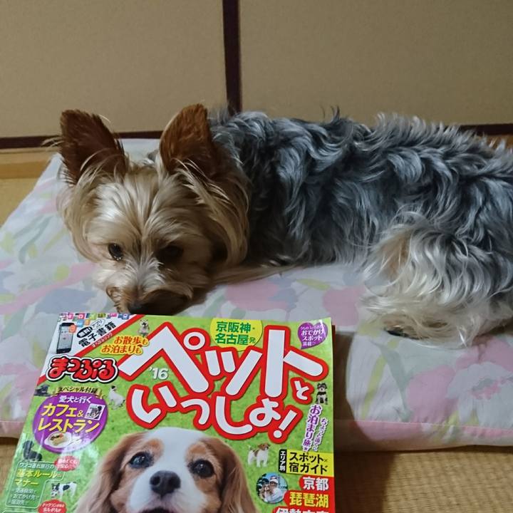 43d68a45 2042 4084 a10c b356341a85c6 1530957439054