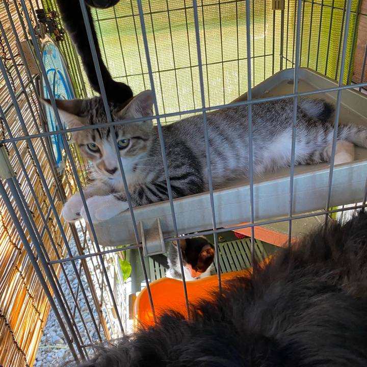 43d6a4da bffa 41b6 8157 a7f6852309b0 1627437887305