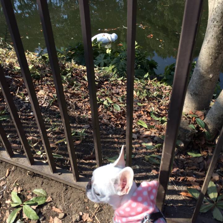 43d6be5a 5596 4ae2 97f7 0d0f2a8872b4 1518856616091