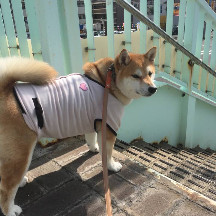 43d6c819 80dd 45d3 aa9c d01c628f22e6 1552360229438