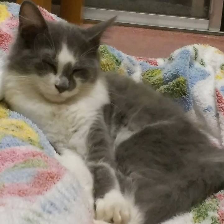 43d6d2aa 2a59 4f04 9318 c92b3378fbe5 1567291062365