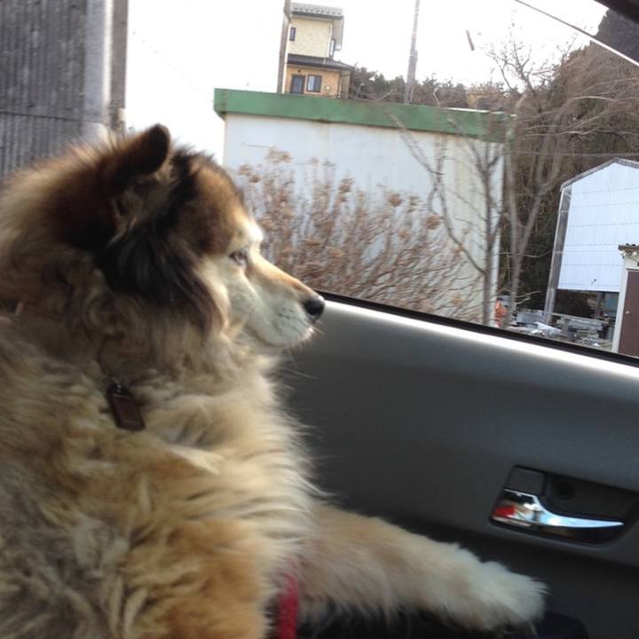 43d70bbe 7e4e 4222 9715 8ba25f387014 1629075911744