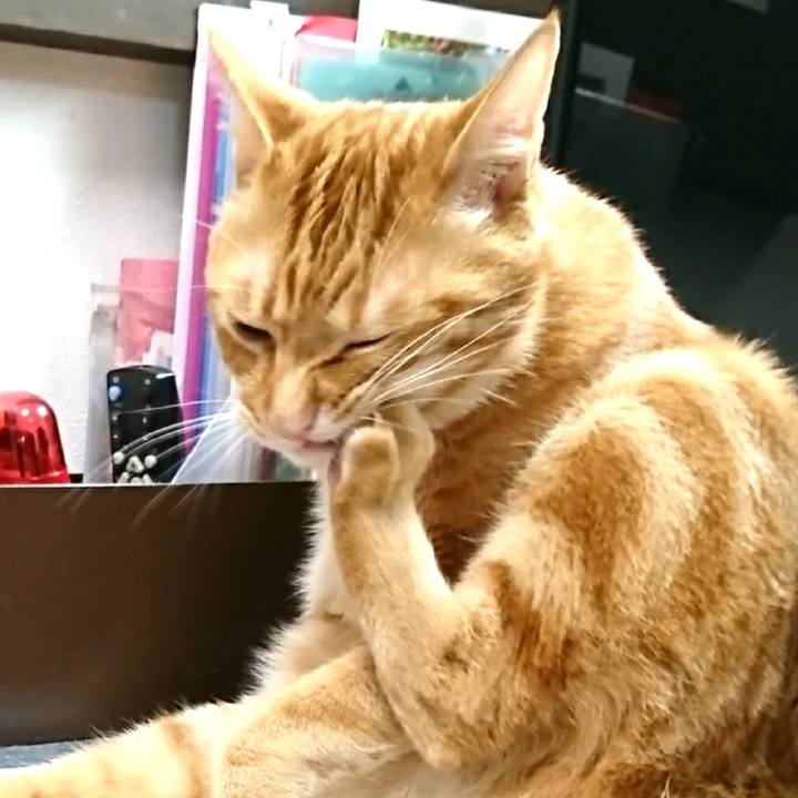 43d72456 ce80 4ed3 a94d bf597b204c2c 1563229706337