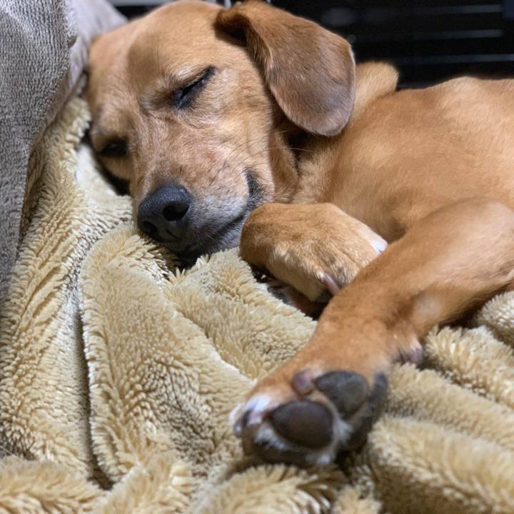 43d72cfe abf0 4453 b51f fa3234b30811 1561858320581