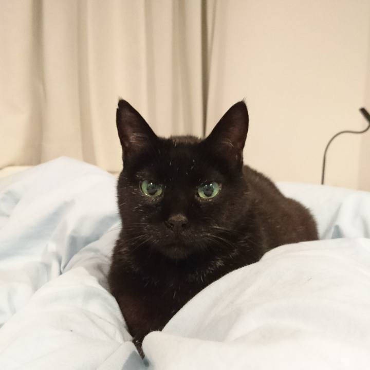 43d7412d 0c75 416f a46a 0584845e4e7a 1541330040134