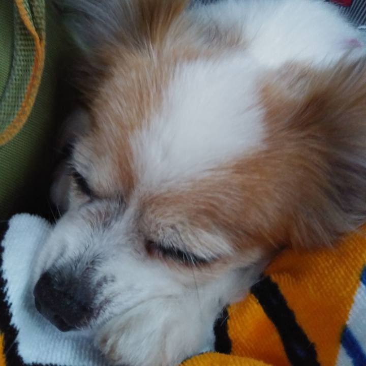 43d78e84 d364 4c0d 8b82 8c9ccd384fb6 1534255215725