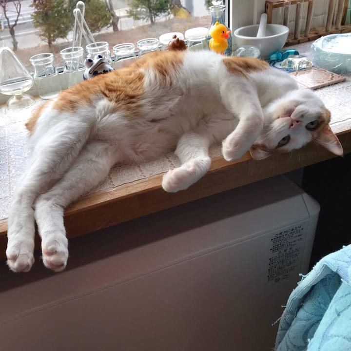 43d7c422 ac99 430e ab98 cabbee5913b5 1522841913301