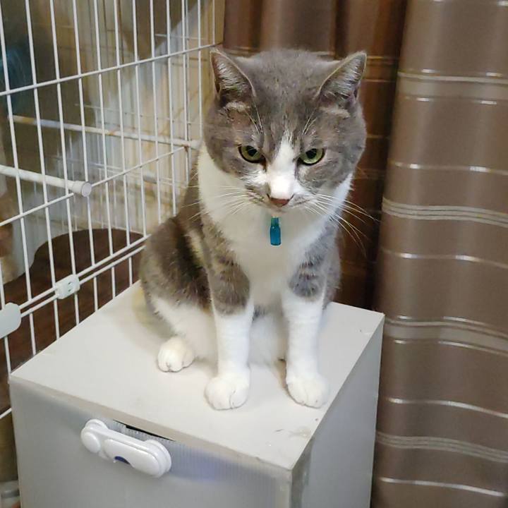 43d7d82b 1c47 49ad 87e3 37b9d8f08b31 1723459004201