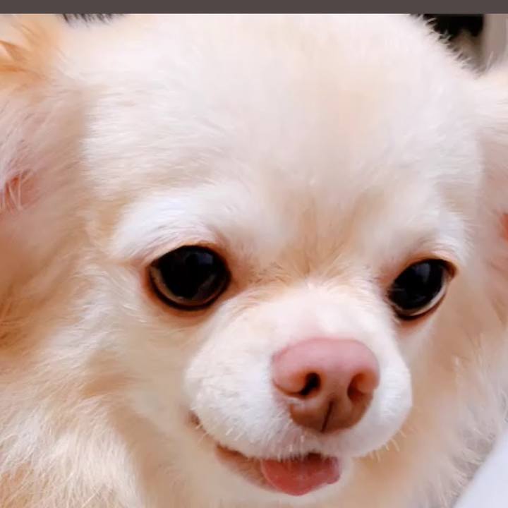 43d7e317 f5b7 45b5 8305 965184e482b7 1663156219758