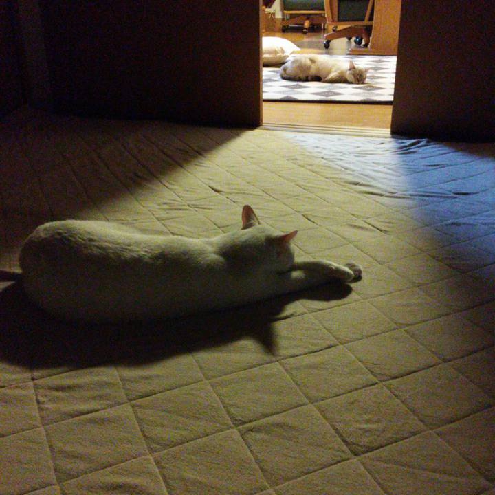 43d7e79e 8361 4c45 bae0 0885a3fe8696 1511860985476