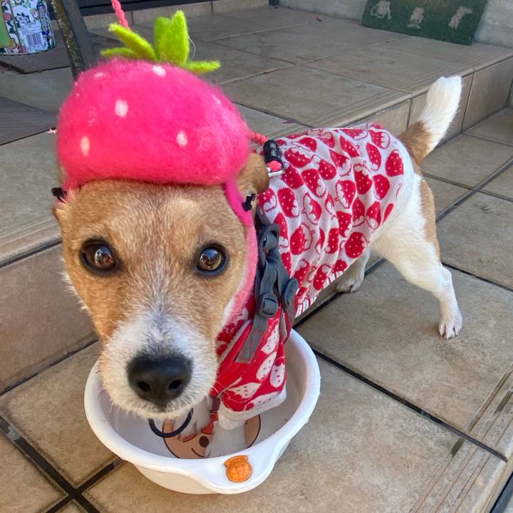 43d80f43 2beb 480a a78b 4009755a23c5 1610683325144