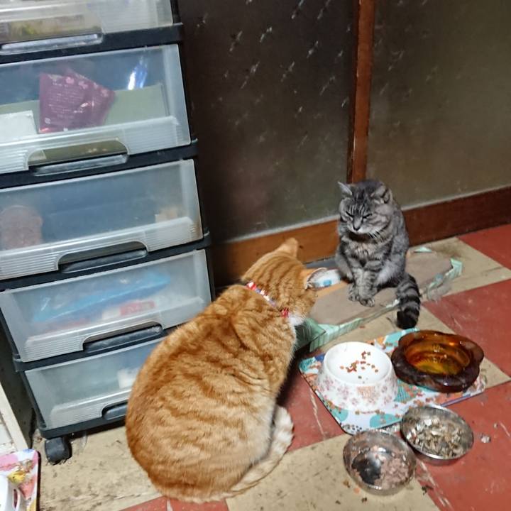 43d81248 ecbf 4f28 9a6c 4ca72887ea00 1579549962771