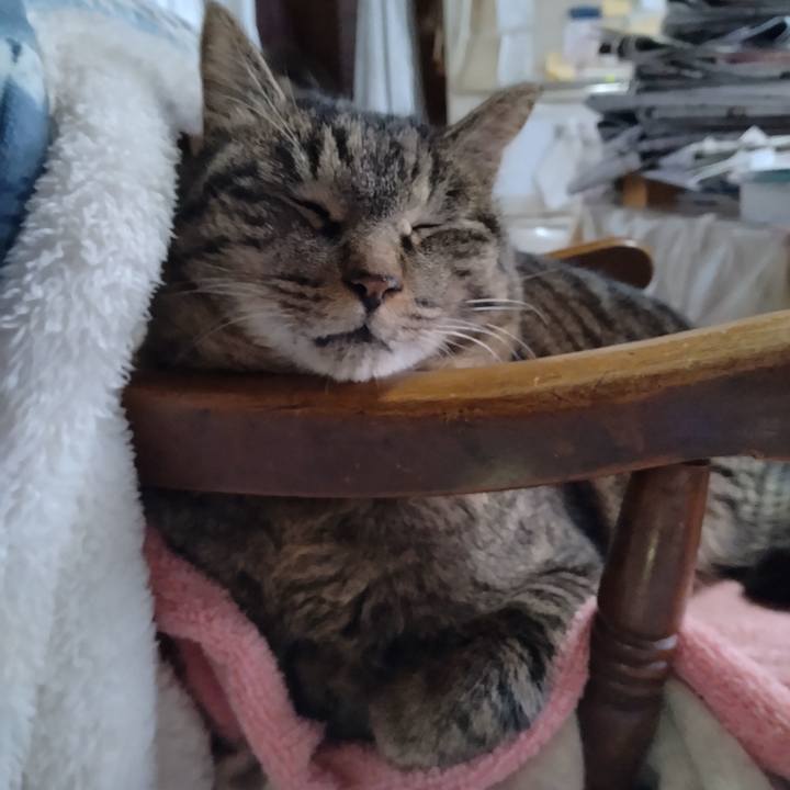 43d81537 8622 4cb9 adb0 6d468808c064 1676356607517