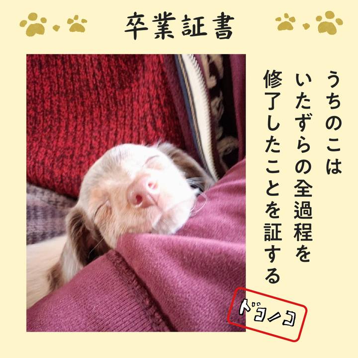 43d84e1d 3d31 468e 82b1 b309cca21179 1771843292423