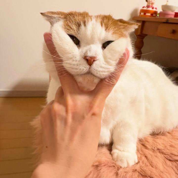 43d862cf 2f62 4784 853a c38b48c400d3 1766059938251