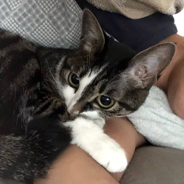 43d883aa 07c1 45af a294 8bccd978c979 1529048571274