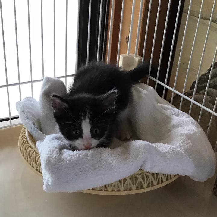 43d8c342 046e 4b68 ad90 ec33453a6dd7 1623136502498