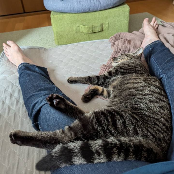 43d8d316 5992 4495 8f1e 37e83612a335 1719300389834