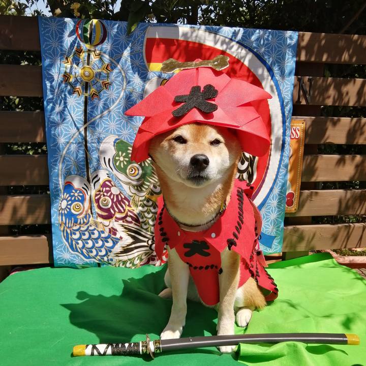 43d8ed35 c46e 434b 92ad 3997082a7288 1651714819511