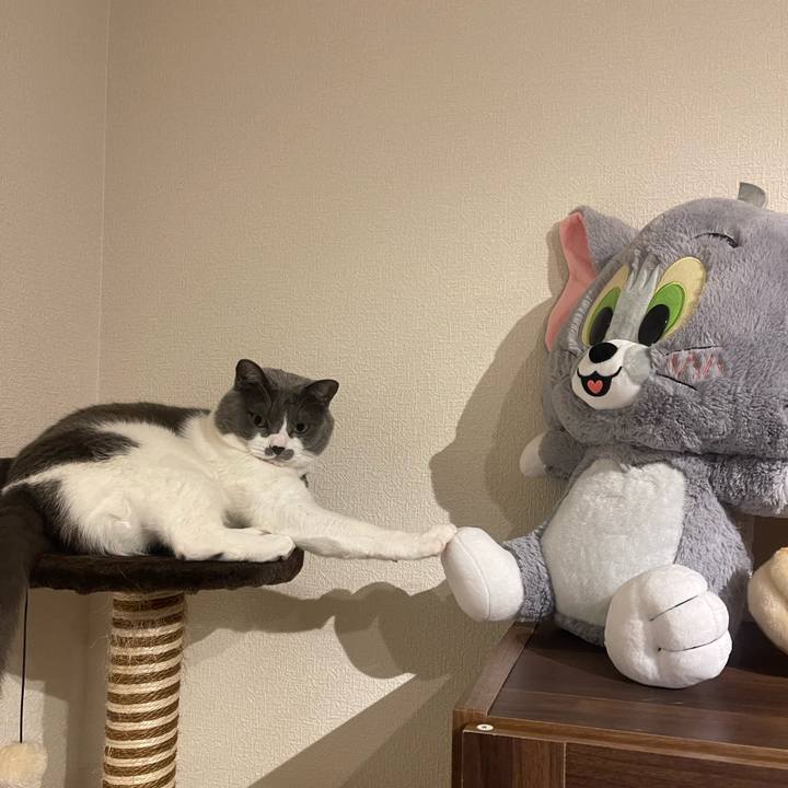 43d8edb5 14d2 4246 acee b36f782a58d8 1700927215125