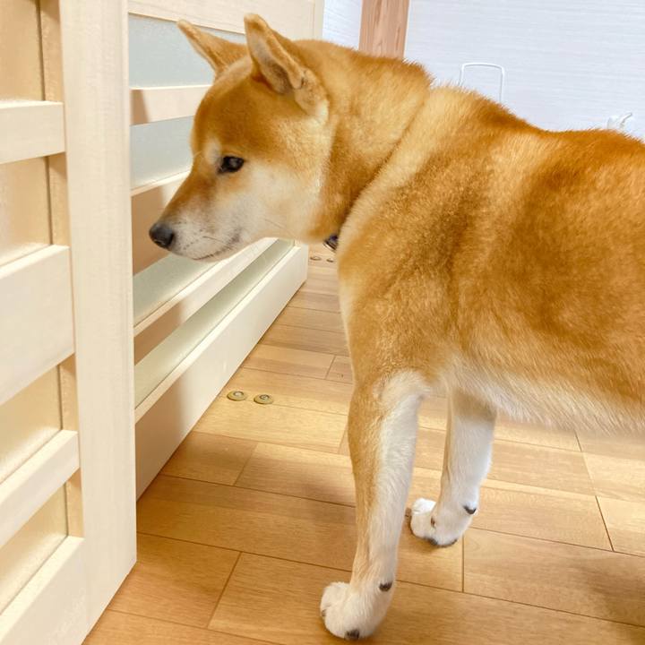 43d95621 a88c 4ecf 8153 ce760f66042f 1676897035780