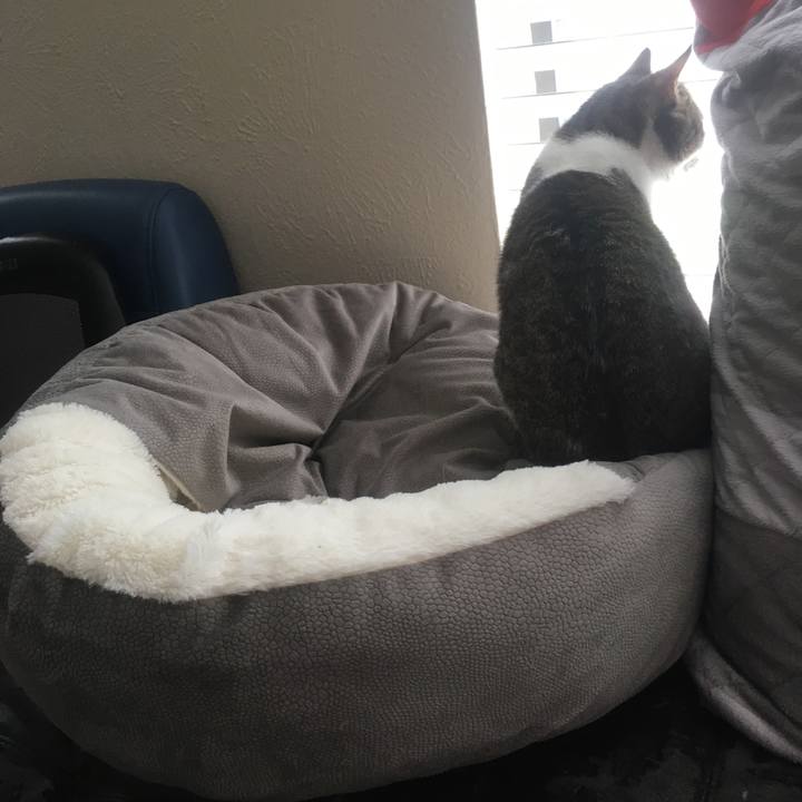 43d9a384 a724 48a3 8214 d5b6734300cf 1645303772069