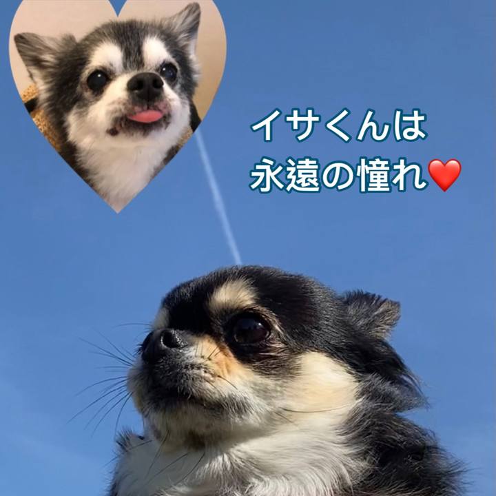 43d9a4f5 af83 4fb3 a3ef f648acdfbdcf 1615004801378