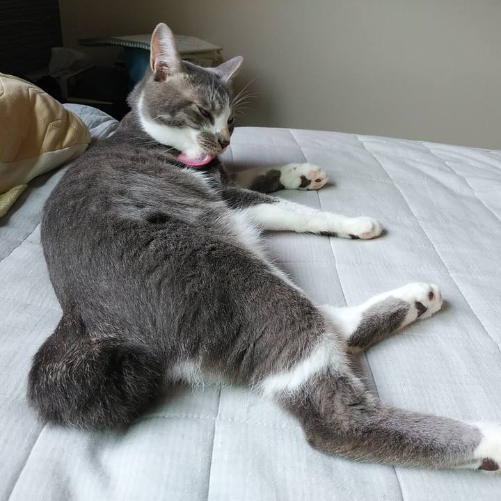 43d9b18a afff 460a 82a5 b7fbfdd54d40 1595547818984