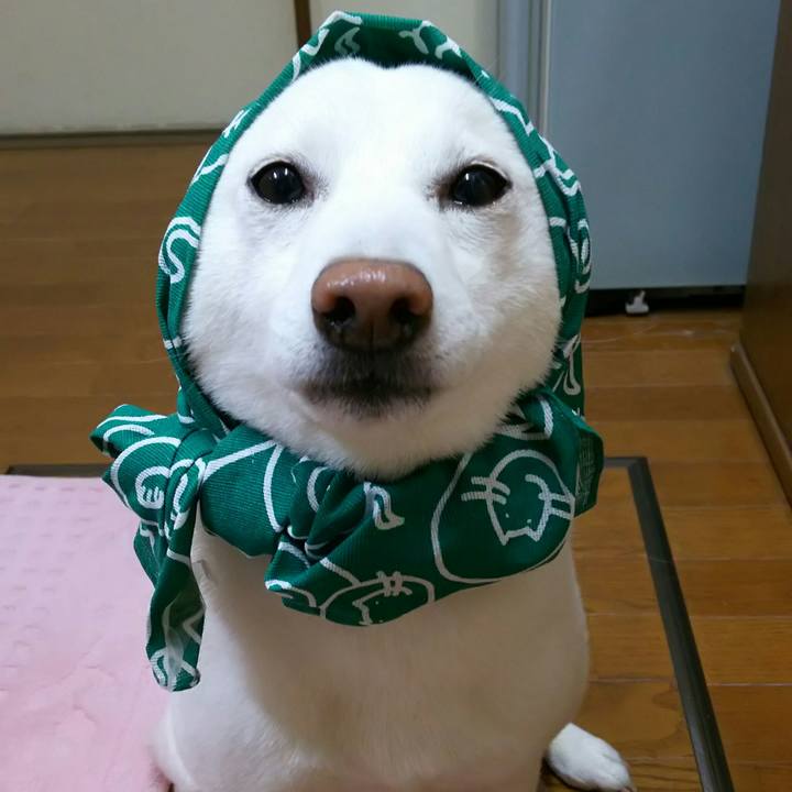 43da04ef adaf 46a0 ad2c 6d2a588c2071 1524743644167