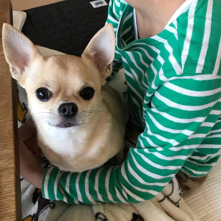 43da5482 2787 4f04 955e 9abfb93c6bcb 1555370587559