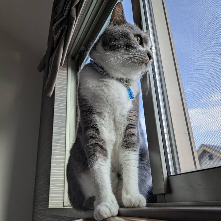 43da94f2 aa10 4670 9e5a 250f4e7e6c68 1750981581693