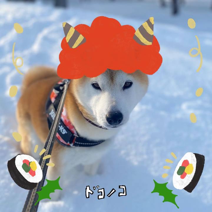 43dab186 d735 4000 9a24 d000b071e6c8 1706965564672