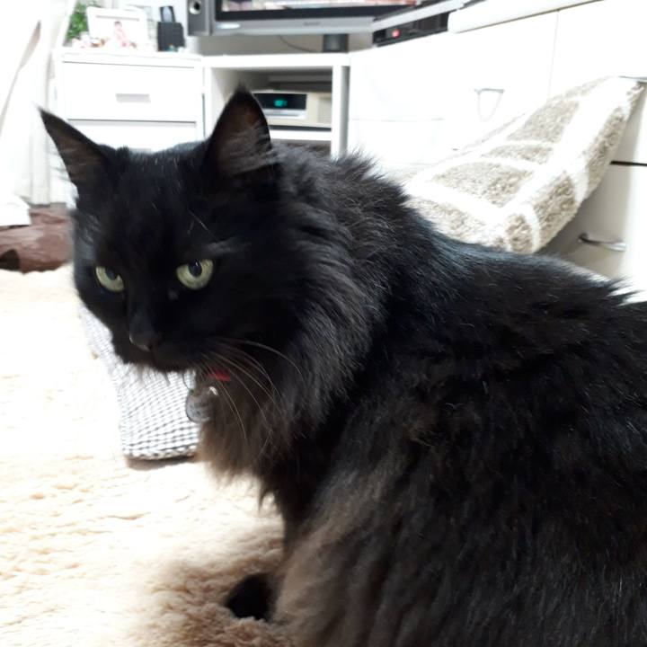 43dab6e0 74db 4998 a0bd 0765770f576d 1524043487592