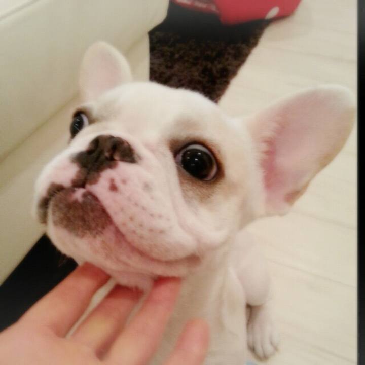 43dad5cf 0d3d 43c8 85c3 3b8d4ce48306 1581001063898