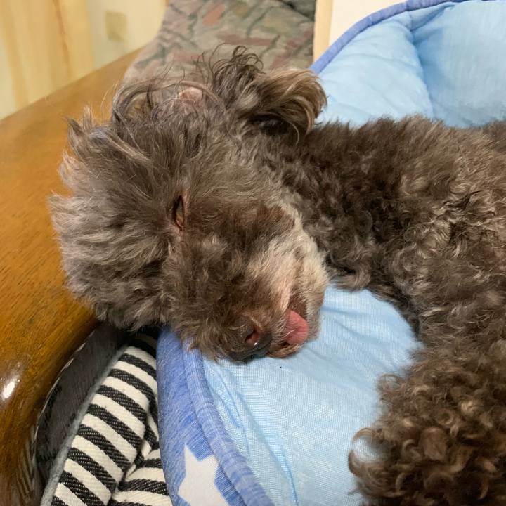 43db1e55 99d2 4caf 8cca 2023afdef19c 1569647479250