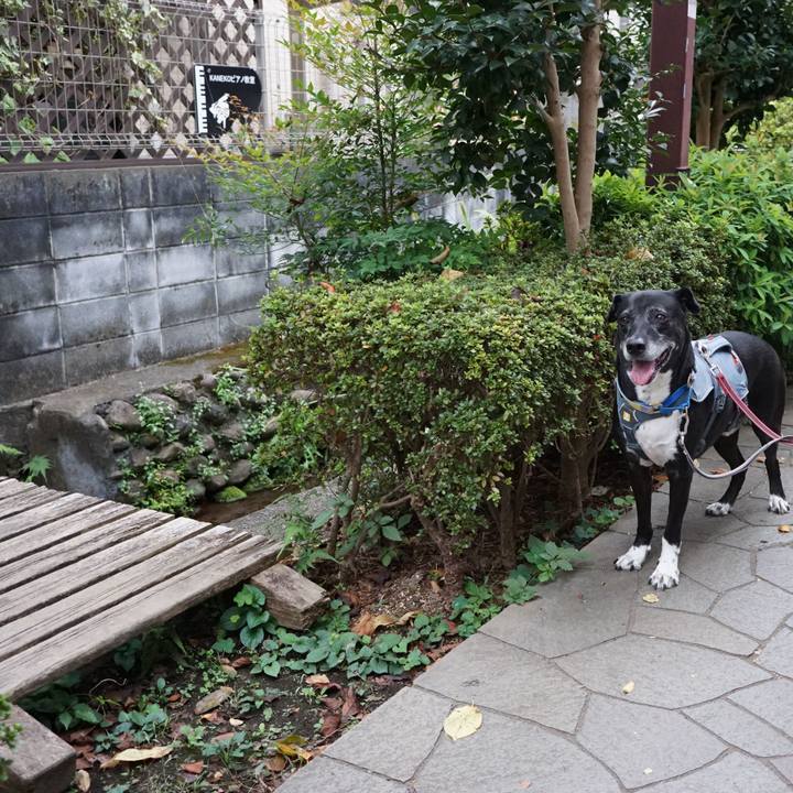 43db2006 3d7c 4690 8cde 3efaeed74f77 1759969712163